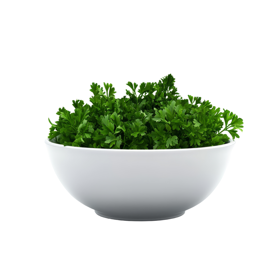 Fresh parsley in a transparent bowl on a clean surface, ideal for culinary use and vibrant dishes, parsley iin the bowl on transparent background png