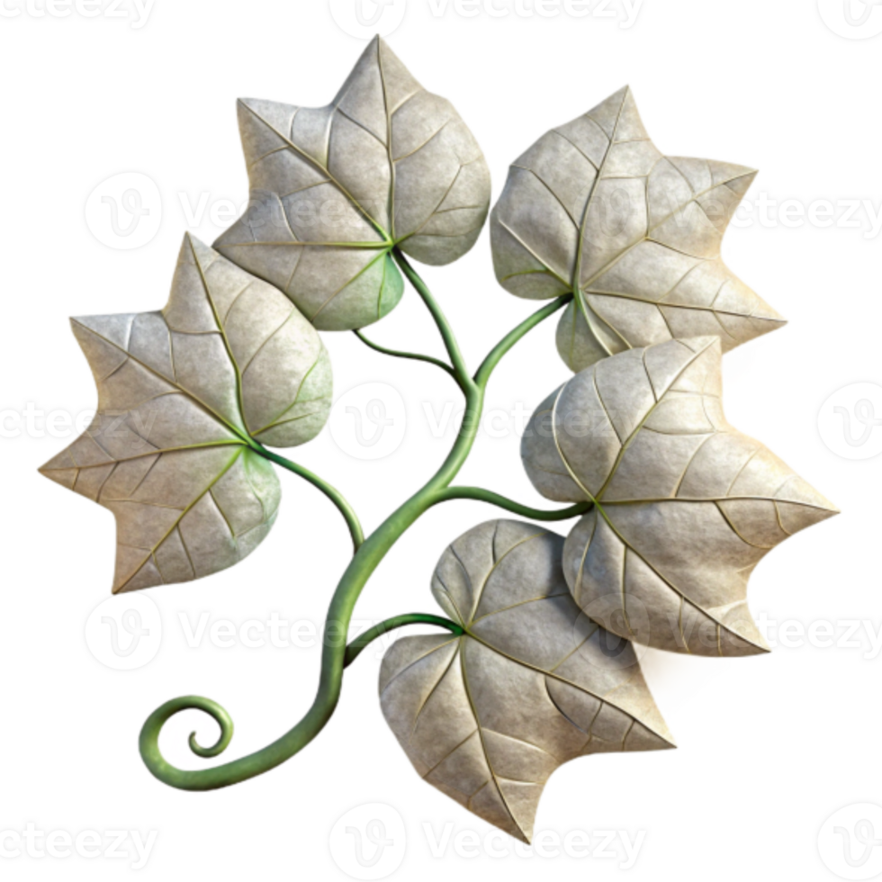 Render of Elegant Pale Leaves Botanical Illustration png