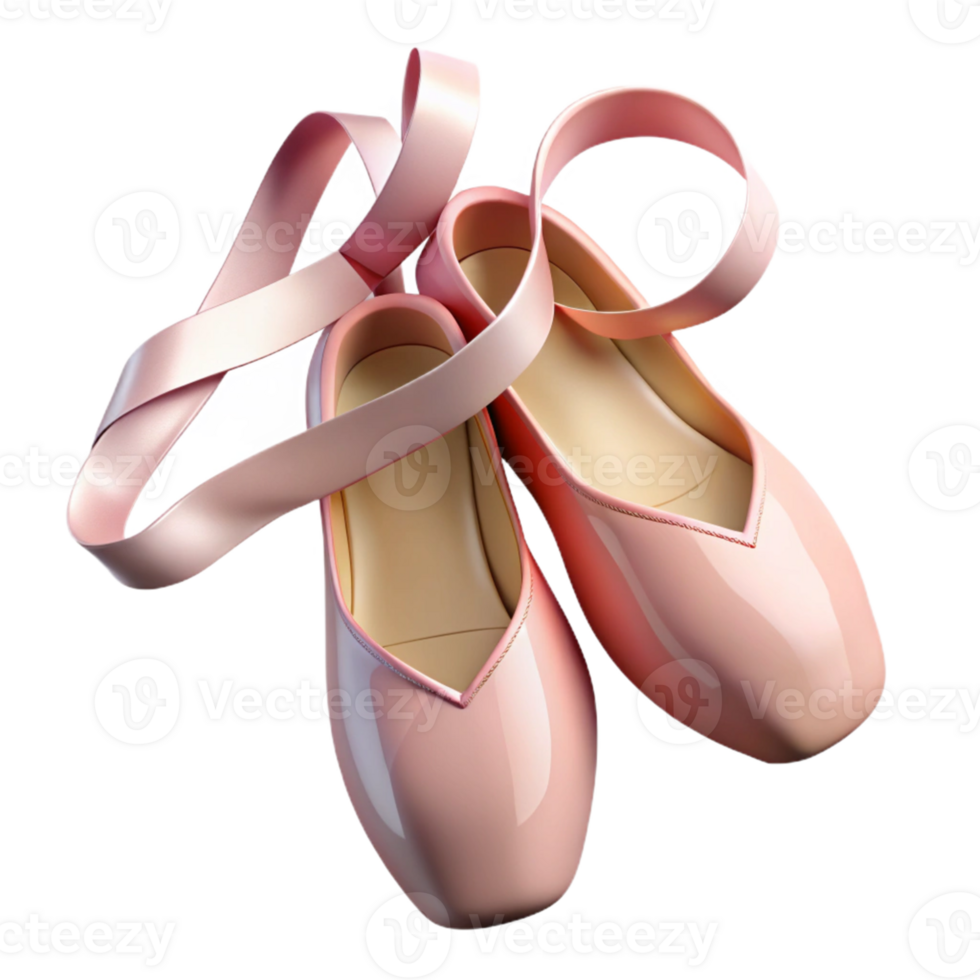 Pink Ballet Pointe Shoes Isometric Render png