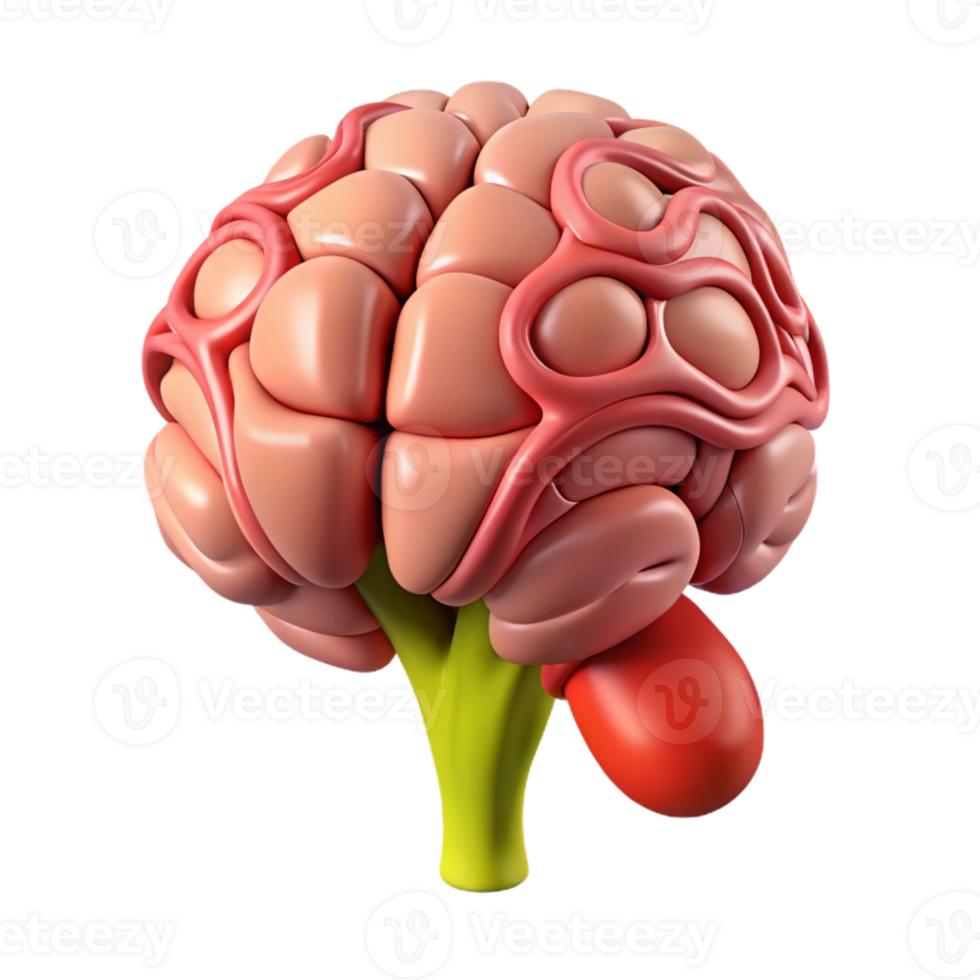 3D Illustration of a Brain with Lobes and Connections png