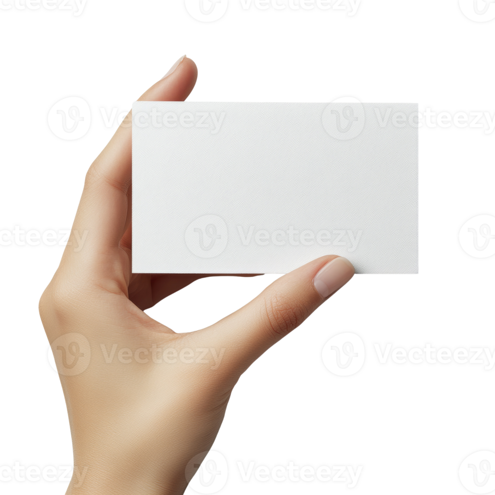 A hand holds a blank white business card. cut out png