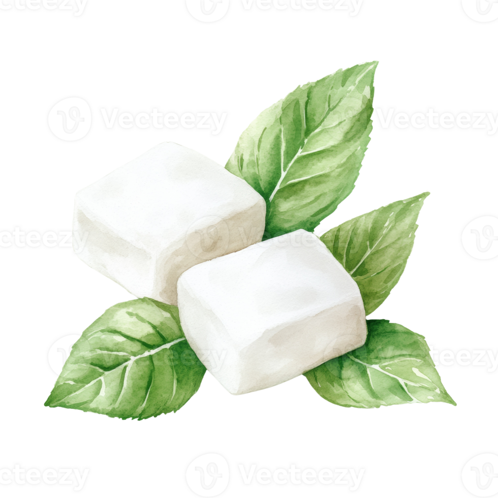 Two White Cubes Resting on Green Leaves png