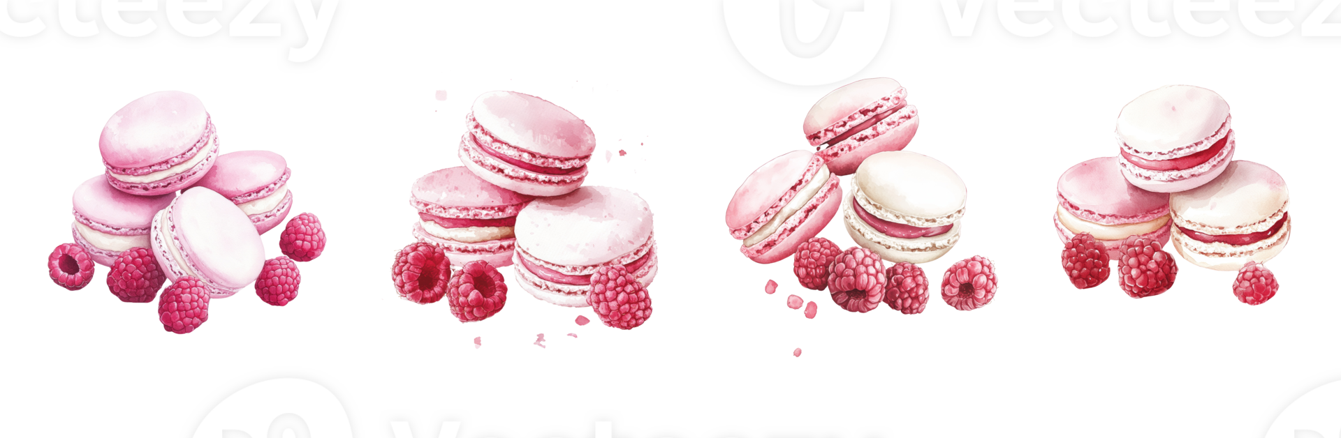 Pink Macarons and Raspberries Watercolor Illustration png