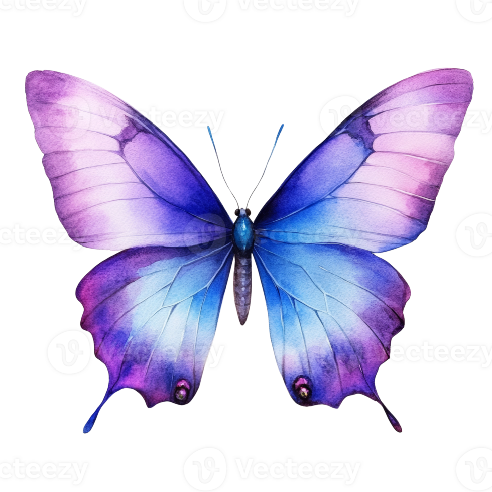 A Watercolor Painting of a Purple Blue Butterfly png