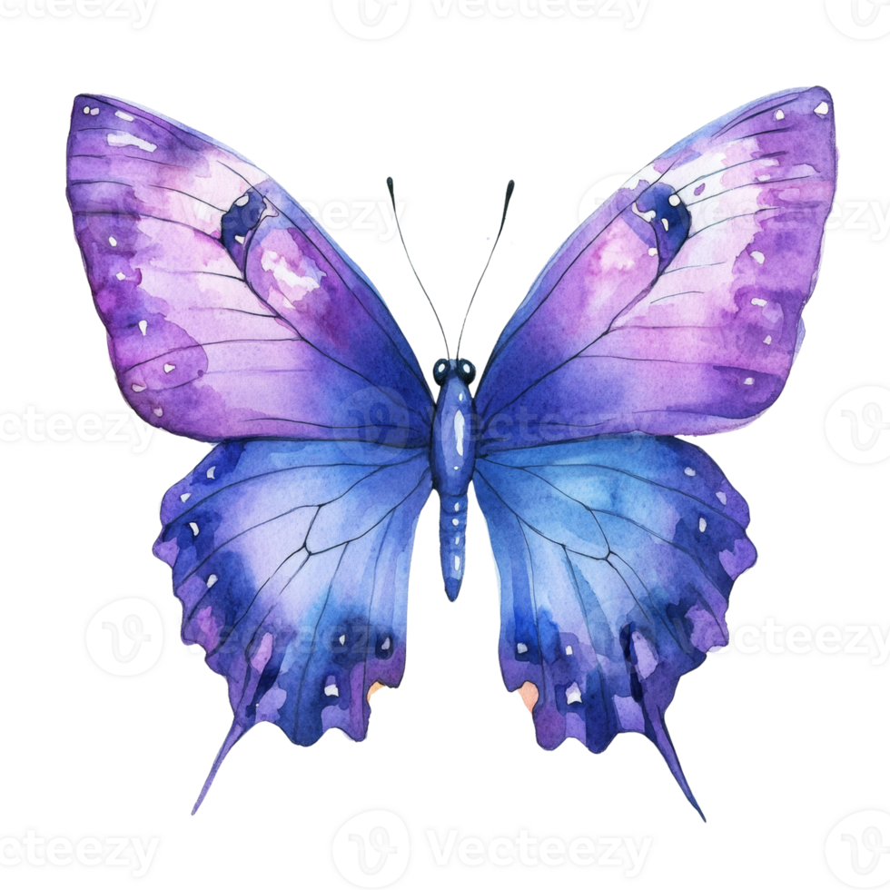 Watercolor Painting of a Purple and Blue Butterfly png