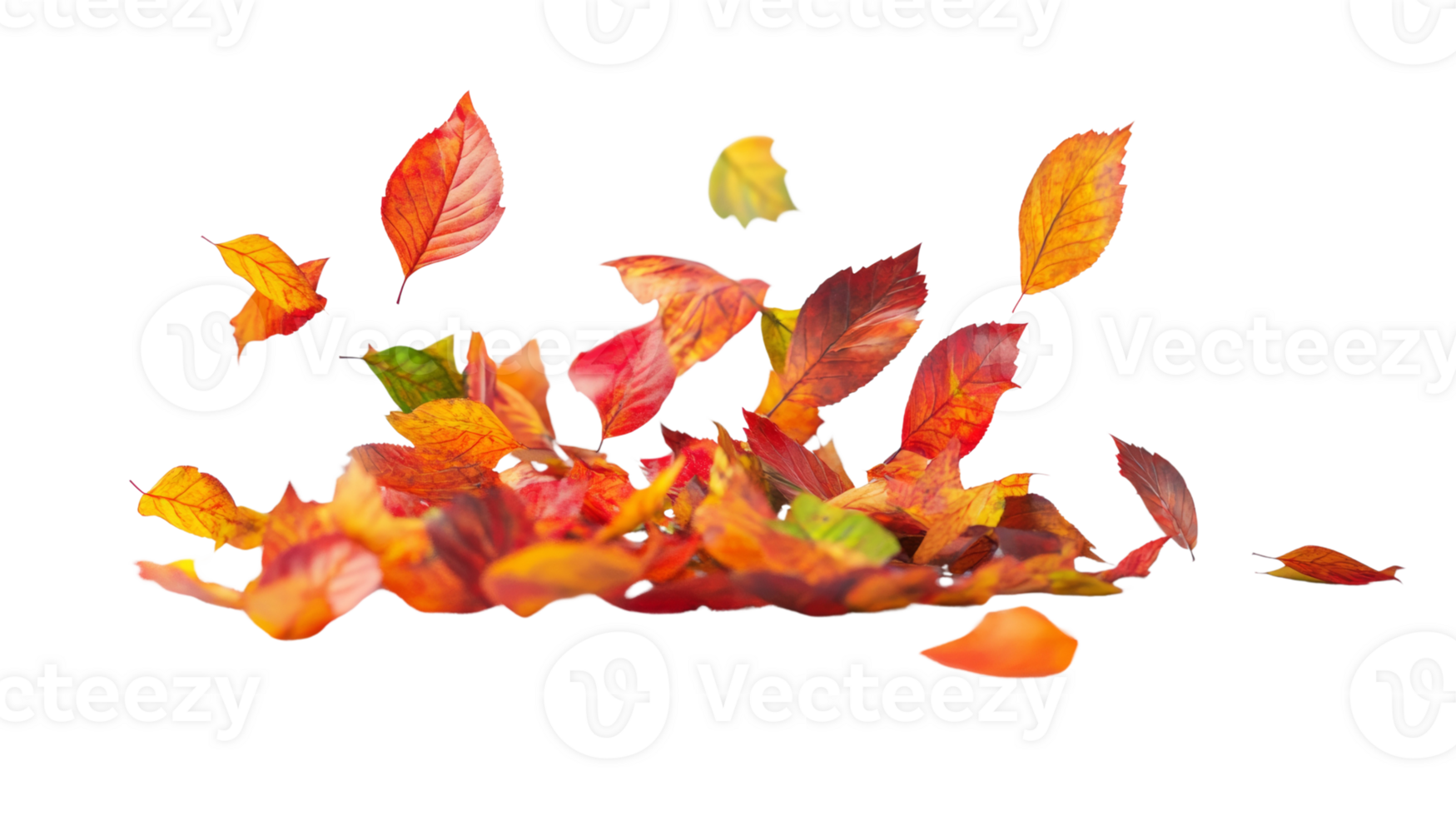 Colorful Autumn Leaves Falling and Gathering png