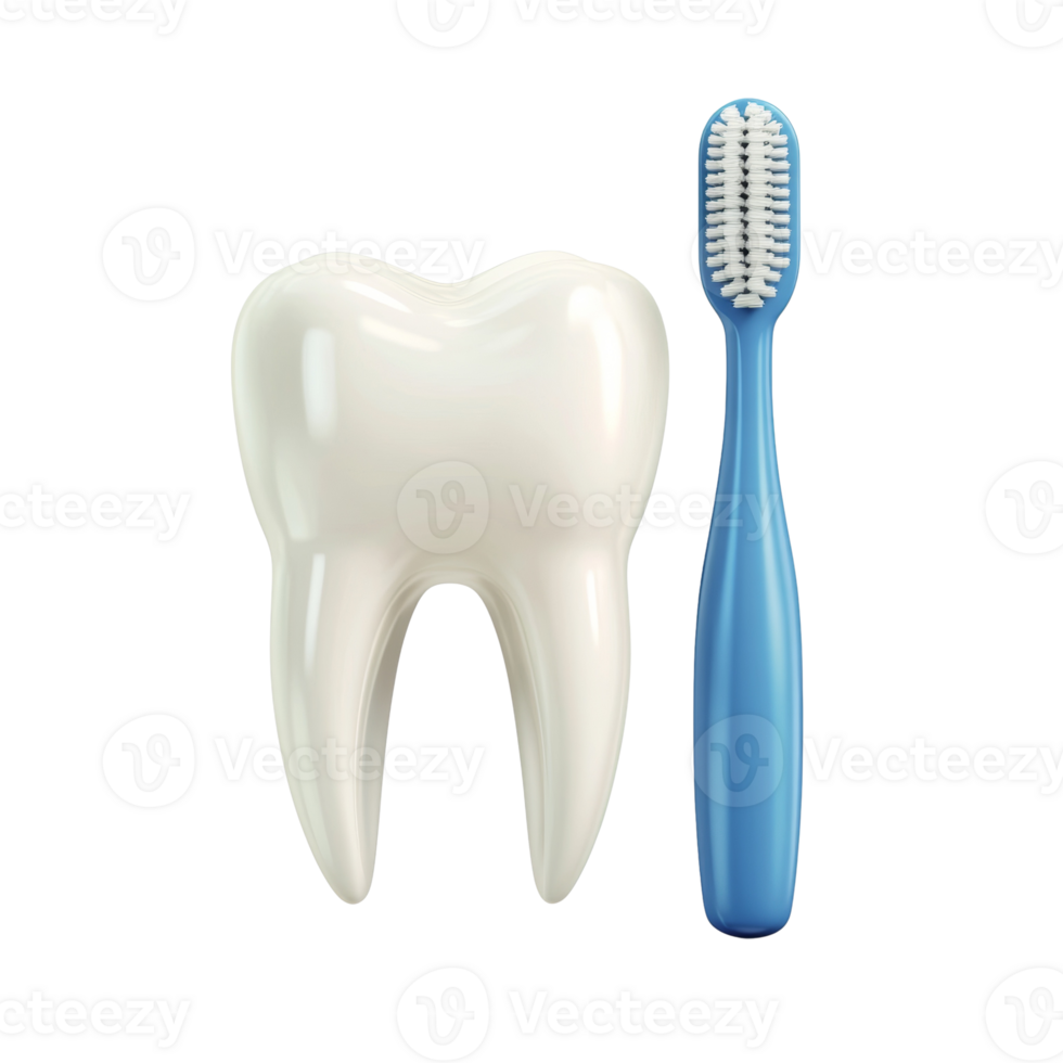 A single healthy tooth and a blue toothbrush png