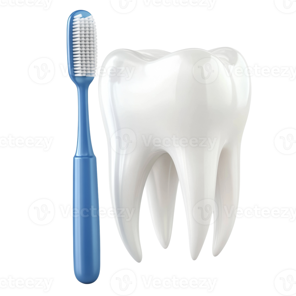 A single tooth and a blue toothbrush for dental hygiene png