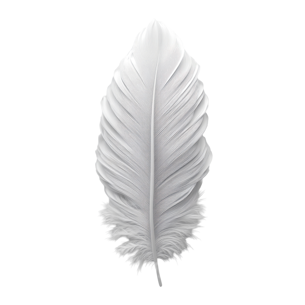 Soft white feather gently resting on a plain background showcasing its delicate texture and natural beauty isolated on transparent background. png