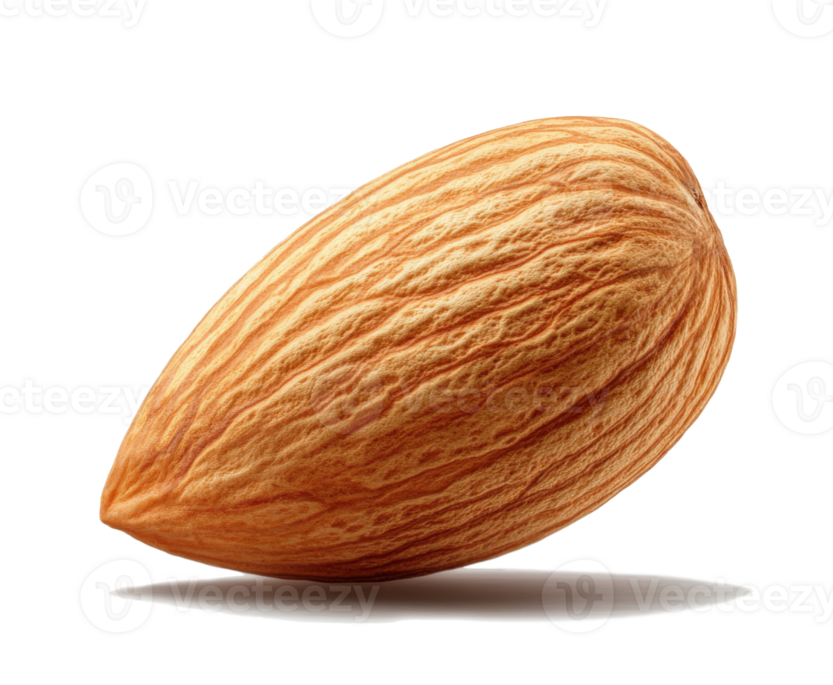 Almond in a natural setting showcasing its textured shell and smooth surface, highlighting its organic shape and color on transparent background png