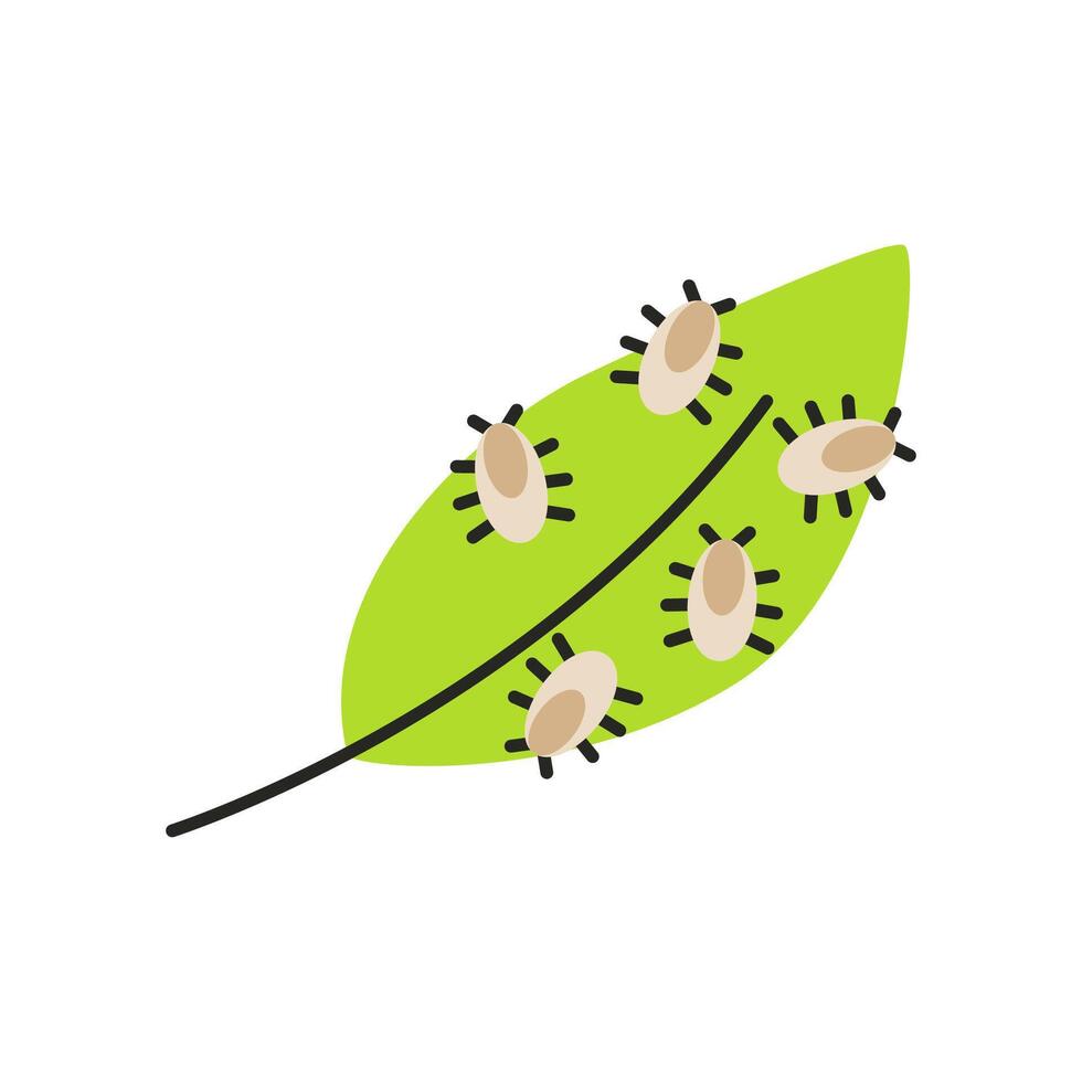 Leaves with pests. Pests destroys a healthy leaf. Flat illustration isolated on white background. vector