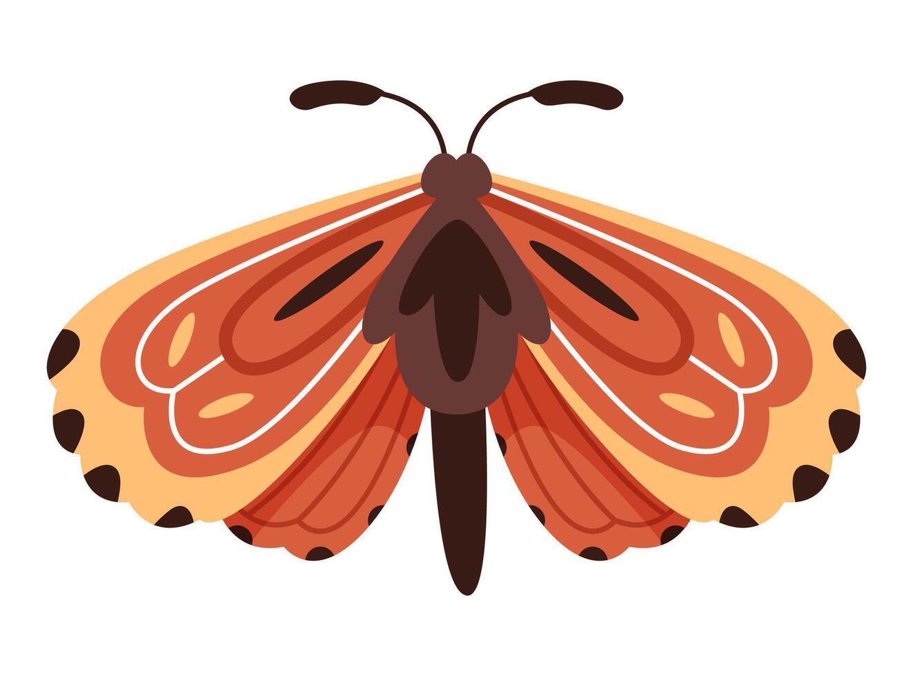 Moth or butterfly in boho style. Brown and orange colors. Natural tones.Design for poster, card vector