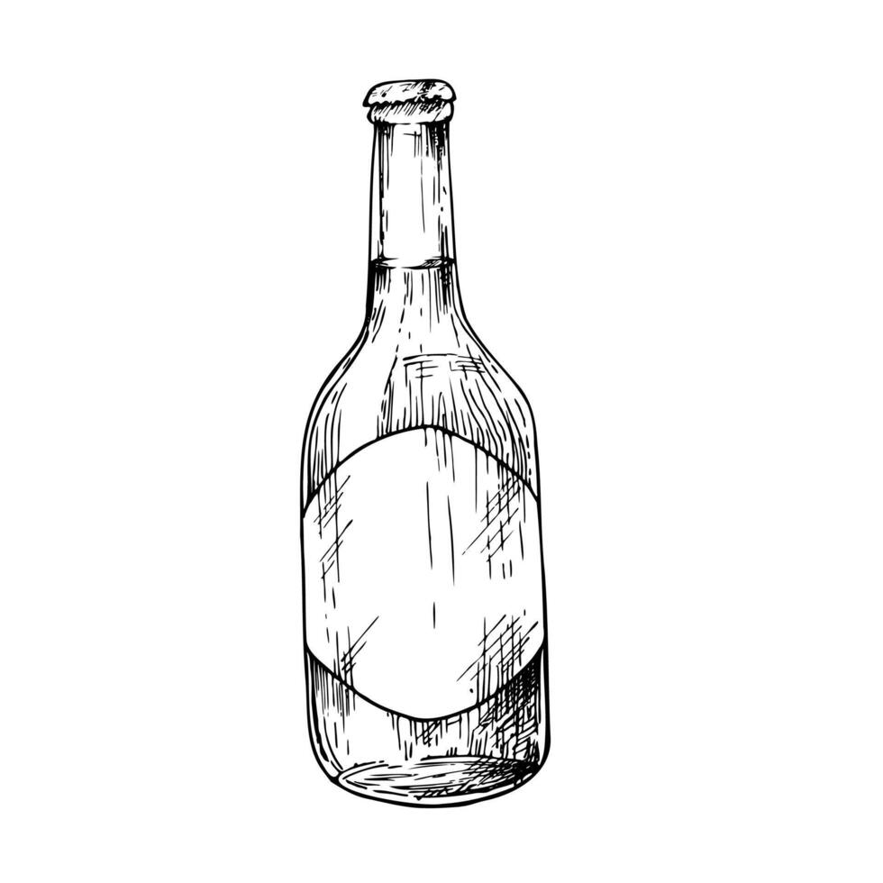 Glass bottle of soda, beer. Graphic ink ale illustration isolated on background. Hand drawn line sketch. For designers, prints, logo, menu, postcards, wrapping paper, holiday, covers vector