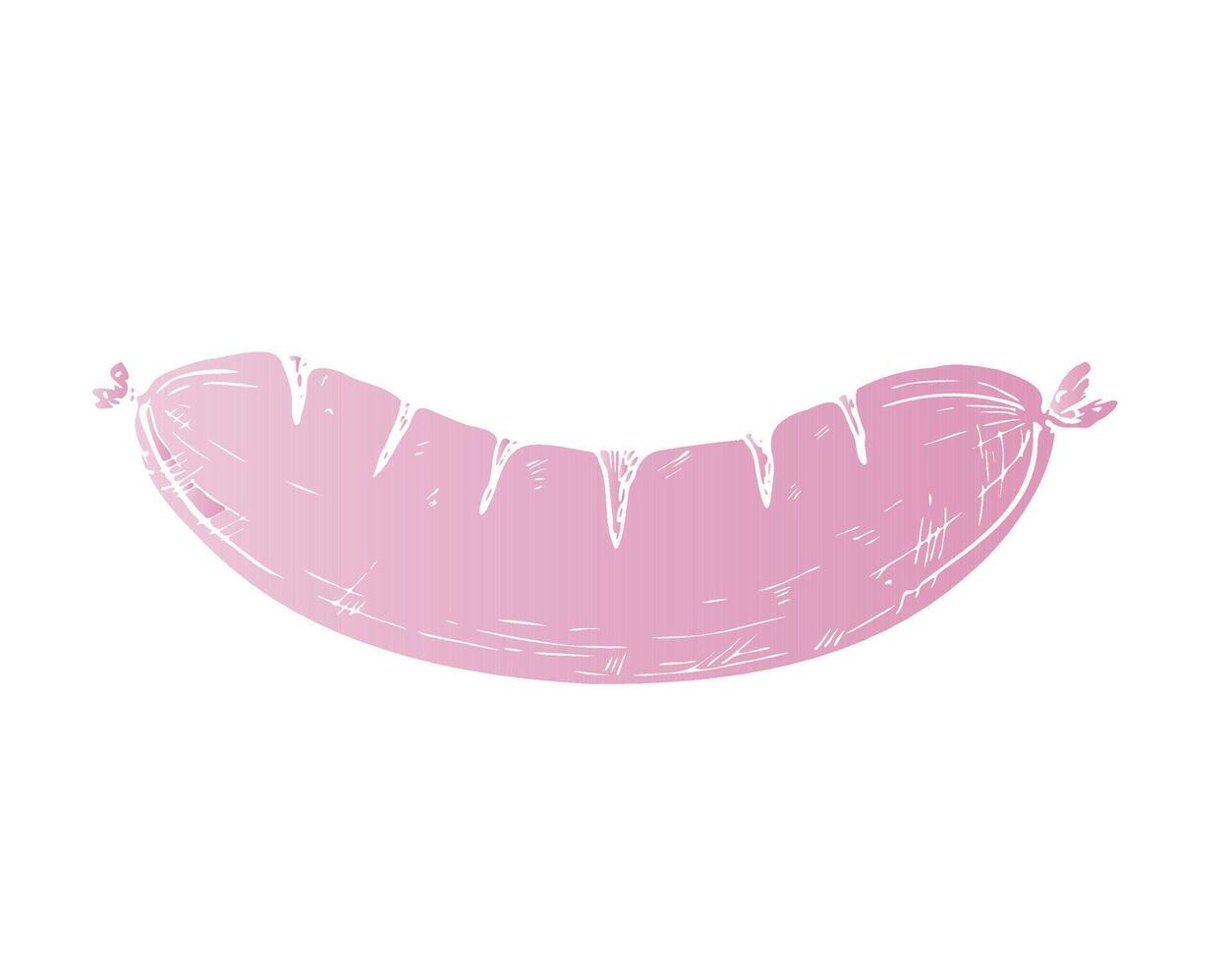 grilled sausage. Graphic German bratwurst illustration isolated on background. Hand drawn line sketch. For designers, prints, postcards, wrapping paper, icon, octoberfest, holiday, covers vector