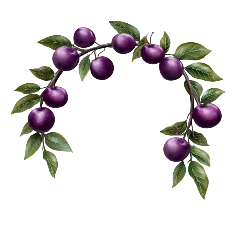 Plum Berry Arch with Foliage png