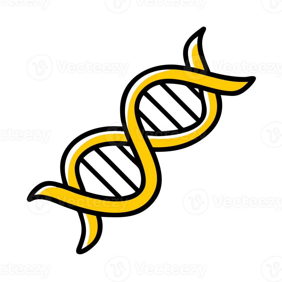 A stylized DNA double helix cutouts png
