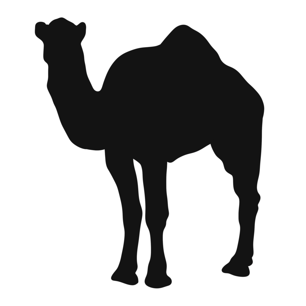 a camel silhouette illustration design png