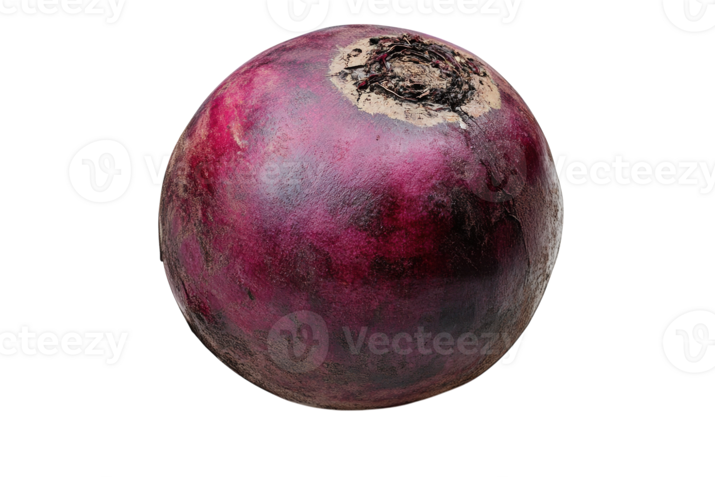 Root vegetable with a deep purple exterior and earthy texture lying on a plain background png