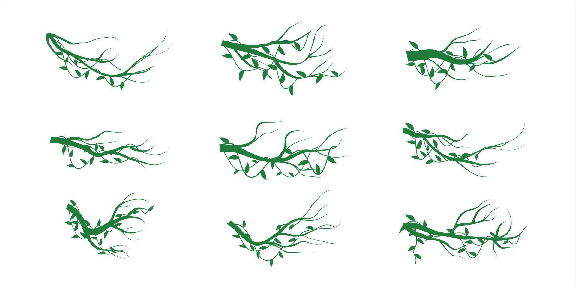 Jungle Vine Plants Set Illustration vector