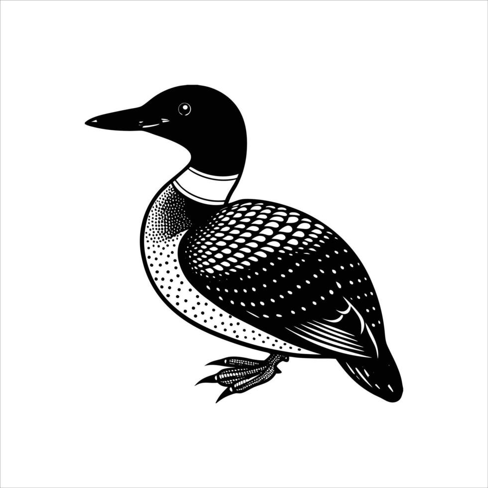 Yellow Billed Vectors