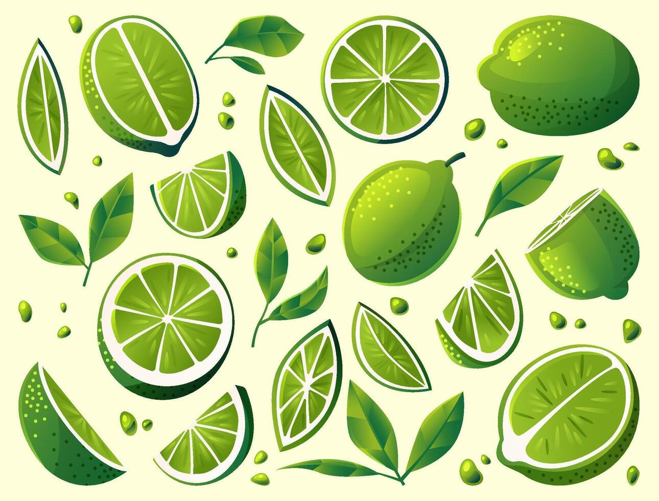 Fresh Lime Slices and Leaves Illustration vector