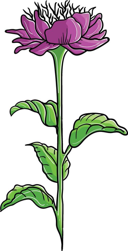 a purple flower with green leaves on a white background vector