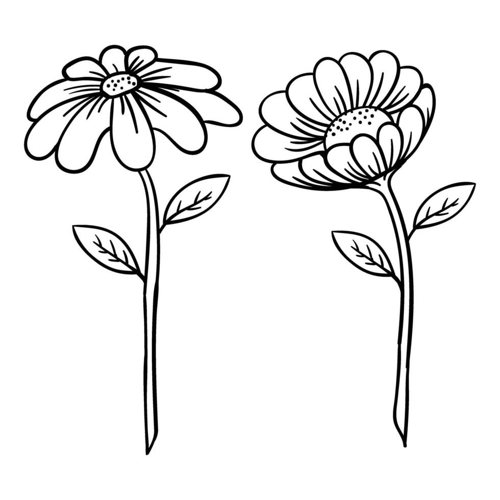 two flowers are shown in black and white vector