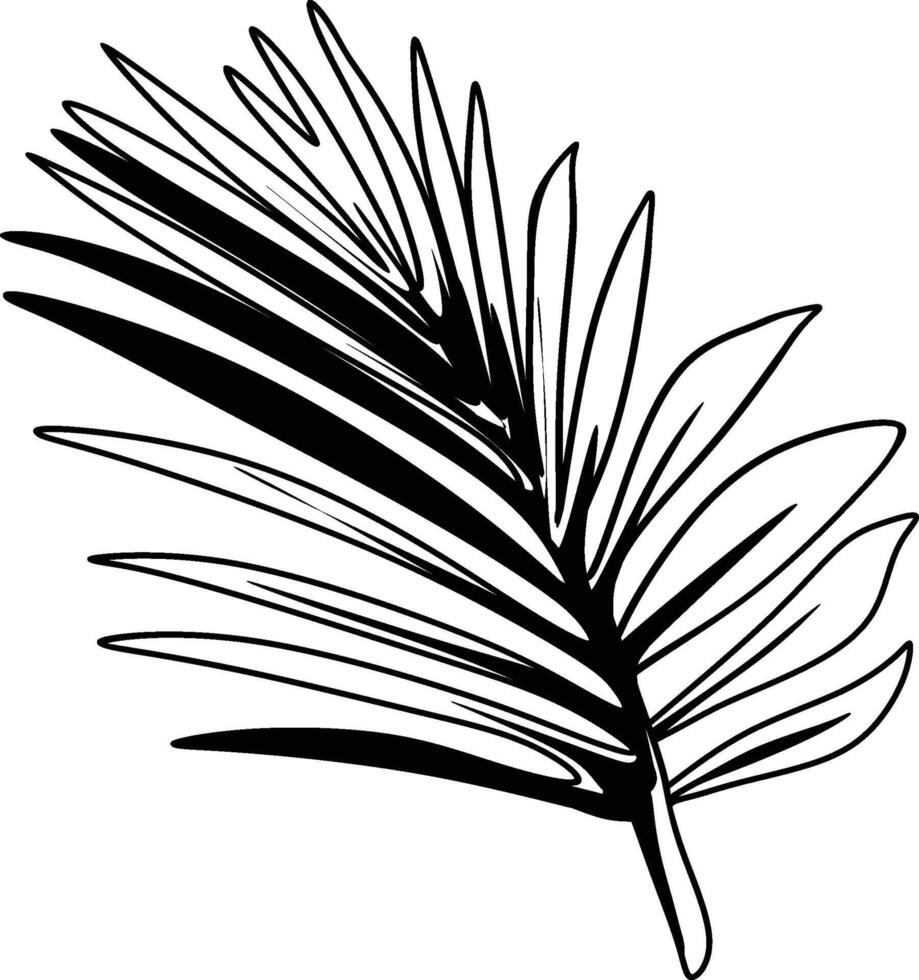 palm leaf coloring pages vector