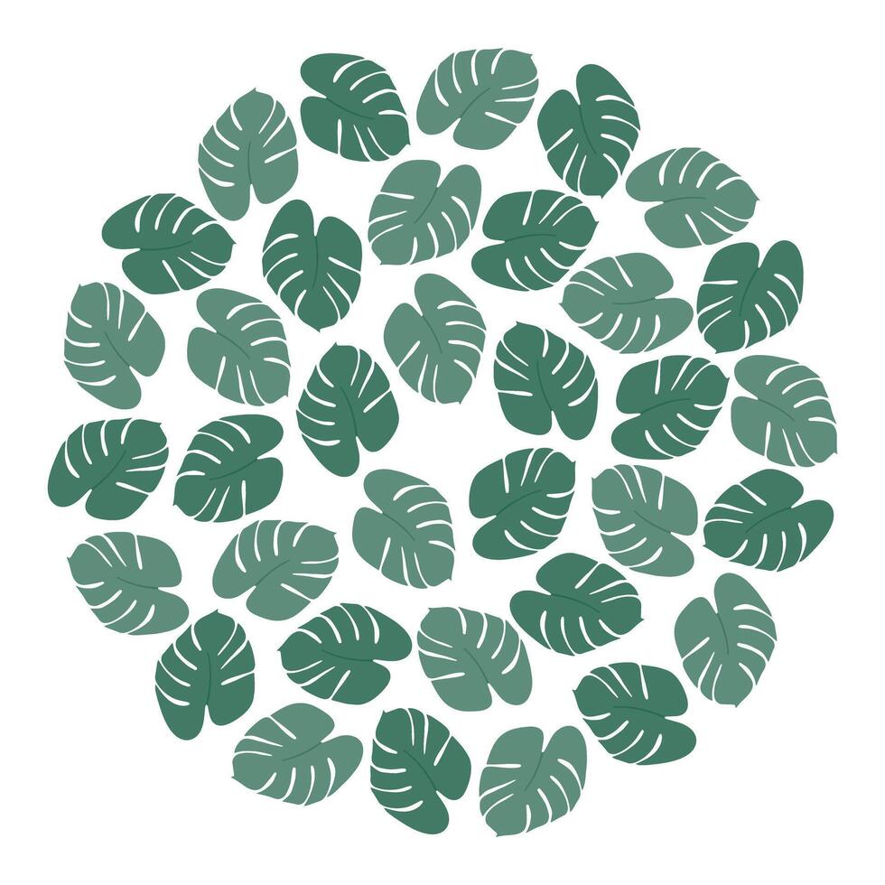Abstract Monstera leaves Circular Backgrounds texture in monochrome green. Summer backdrop concept. Isolated illustration Cards, poster, price tag, label or web promo banner, leaflets, brochure vector