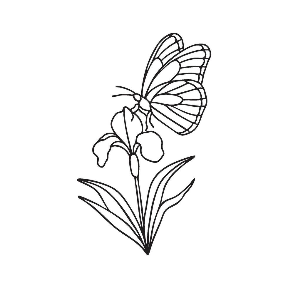A butterfly perched on a blooming iris flower vector