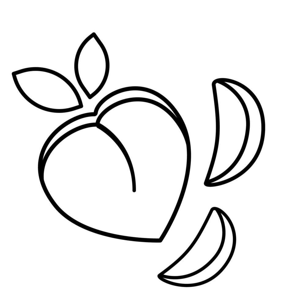 Peach Black and White Coloring Sketch Outline Drawing vector