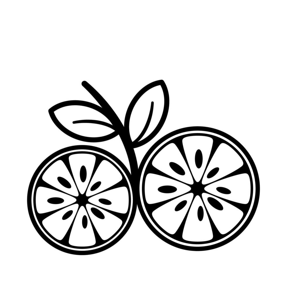 Line drawing sketch of an orange cut in half vector