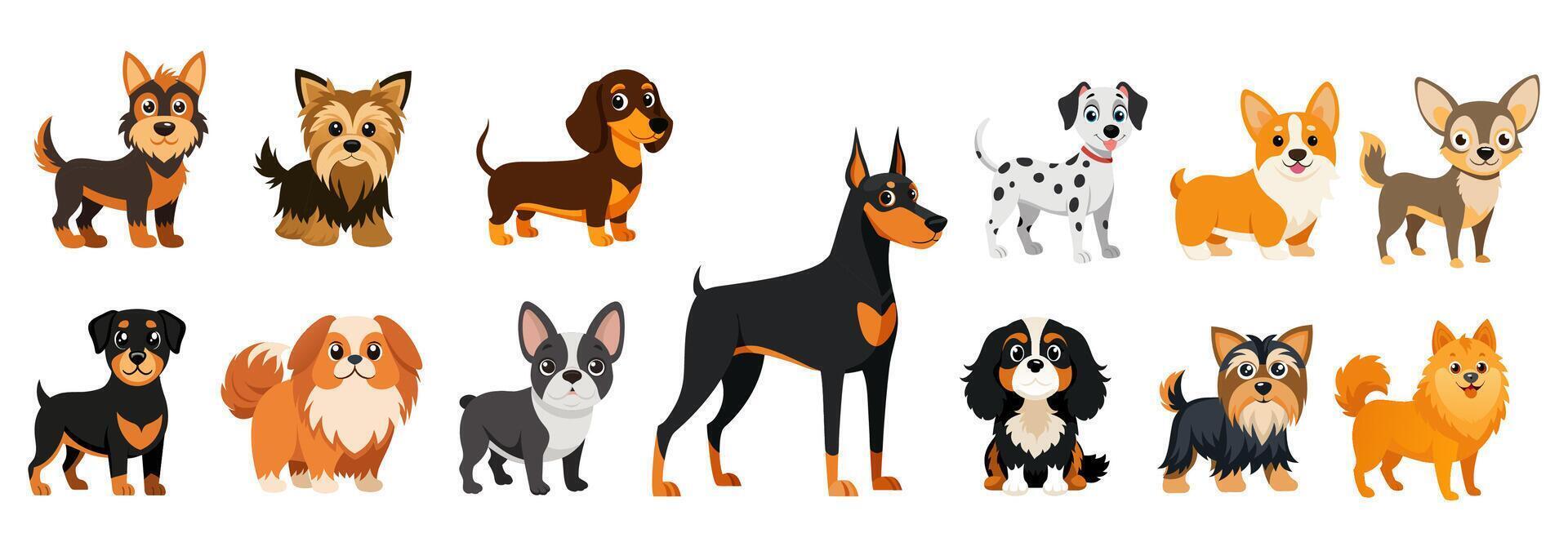 Cute cartoon dogs and puppies set .Funny doggy characters. Happy friendly canine animals. Rottweiler, cavalier king charles spaniel, corgi, dalmatian,doberman,chihuahua,dachshund french bulldog . vector