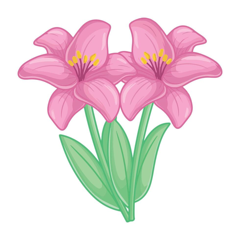 Three pink lilies isolated on a white background. illustration vector