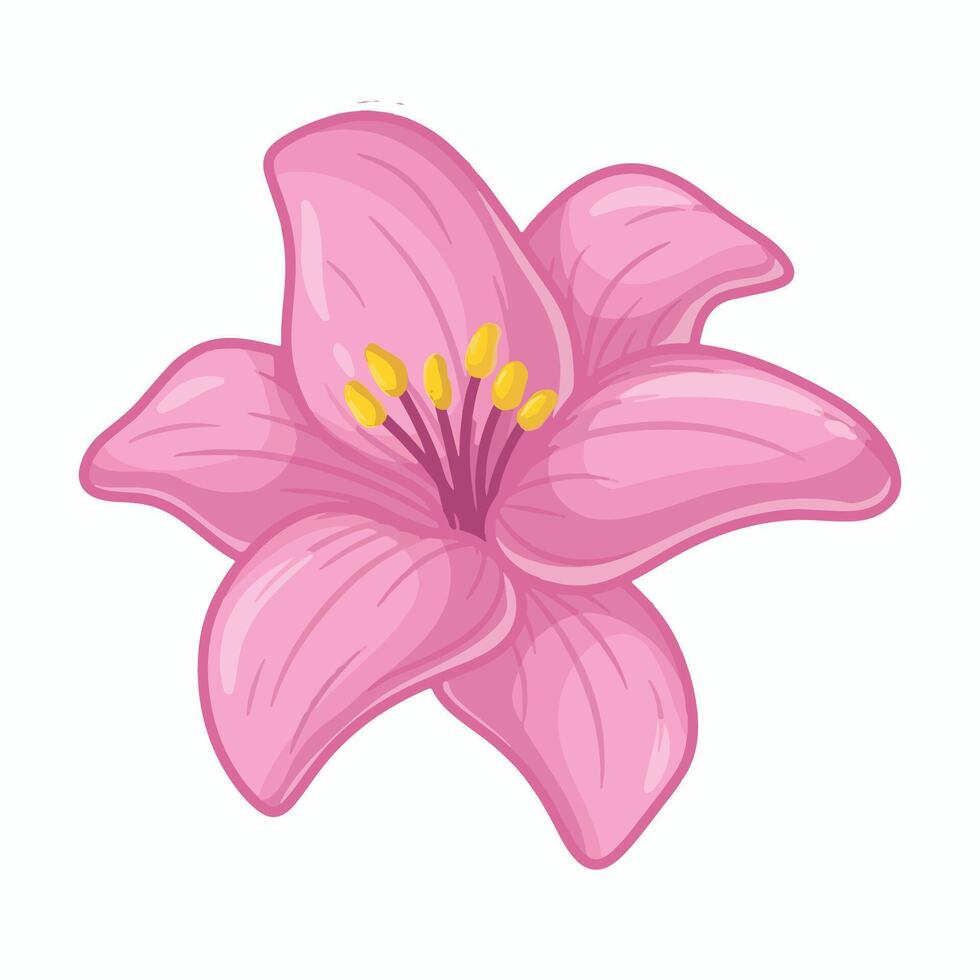 Pink lily flower isolated on white background. illustration in cartoon style vector