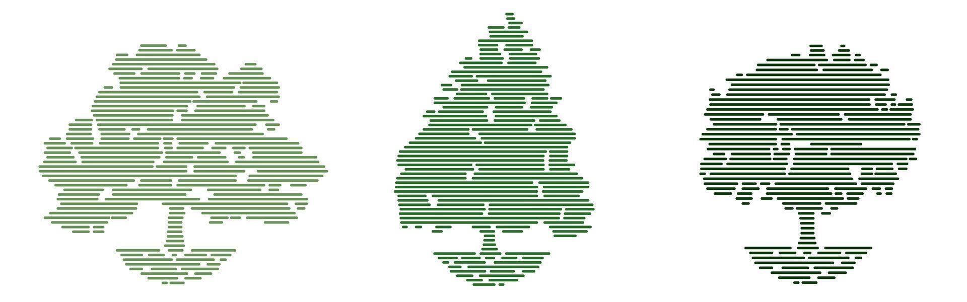Abstract trees. Trees are drawn with thin lines. Wood for your project. vector