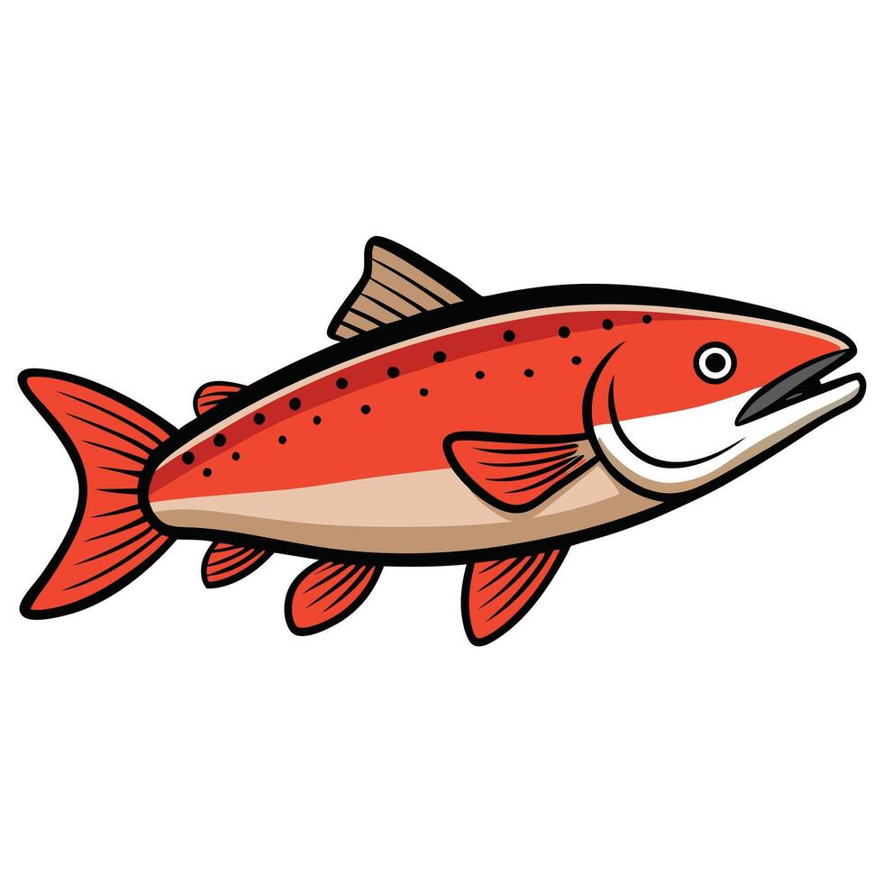 Simple Trout Fish Digital Illustration vector