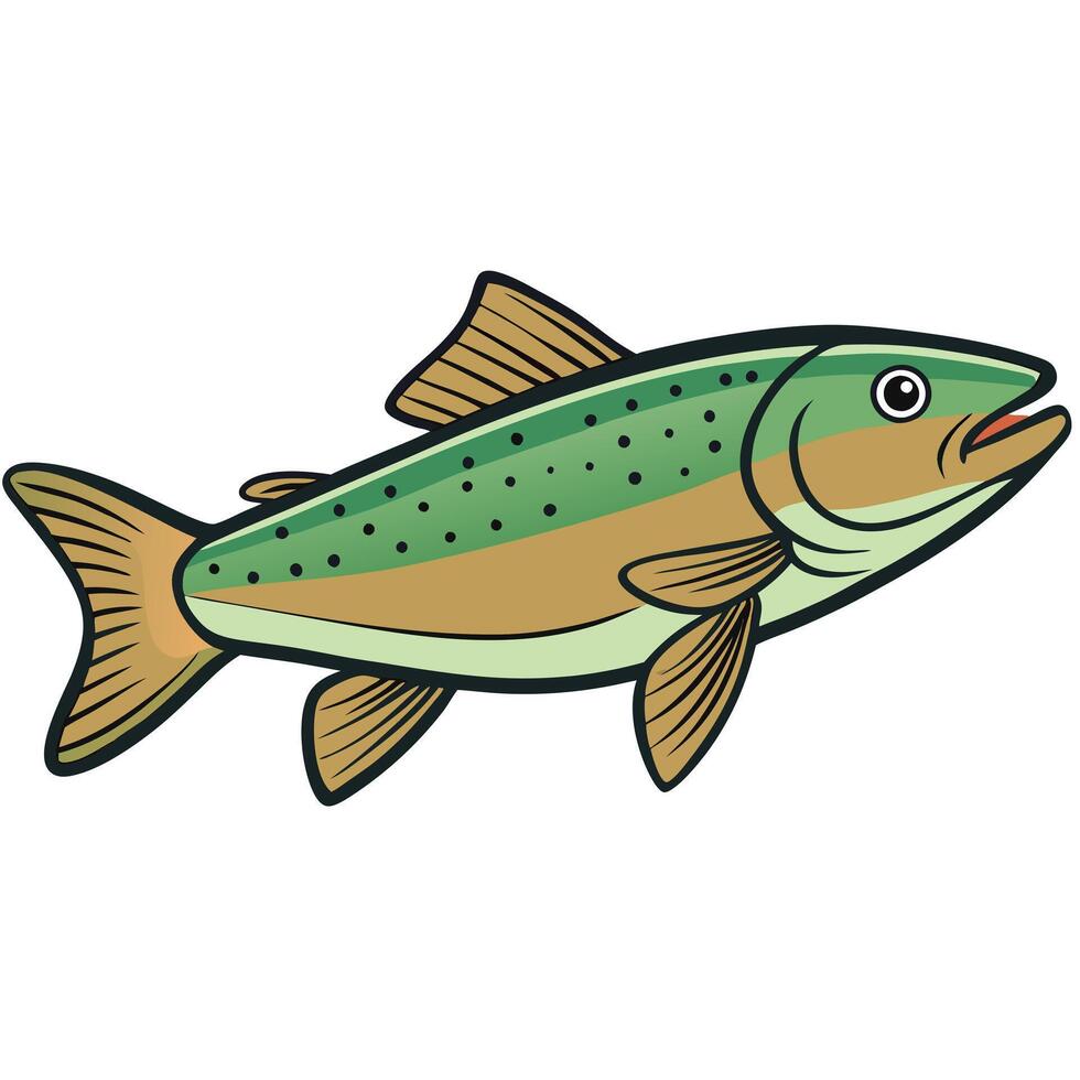 Professional Trout Fish Illustration for Marketing vector