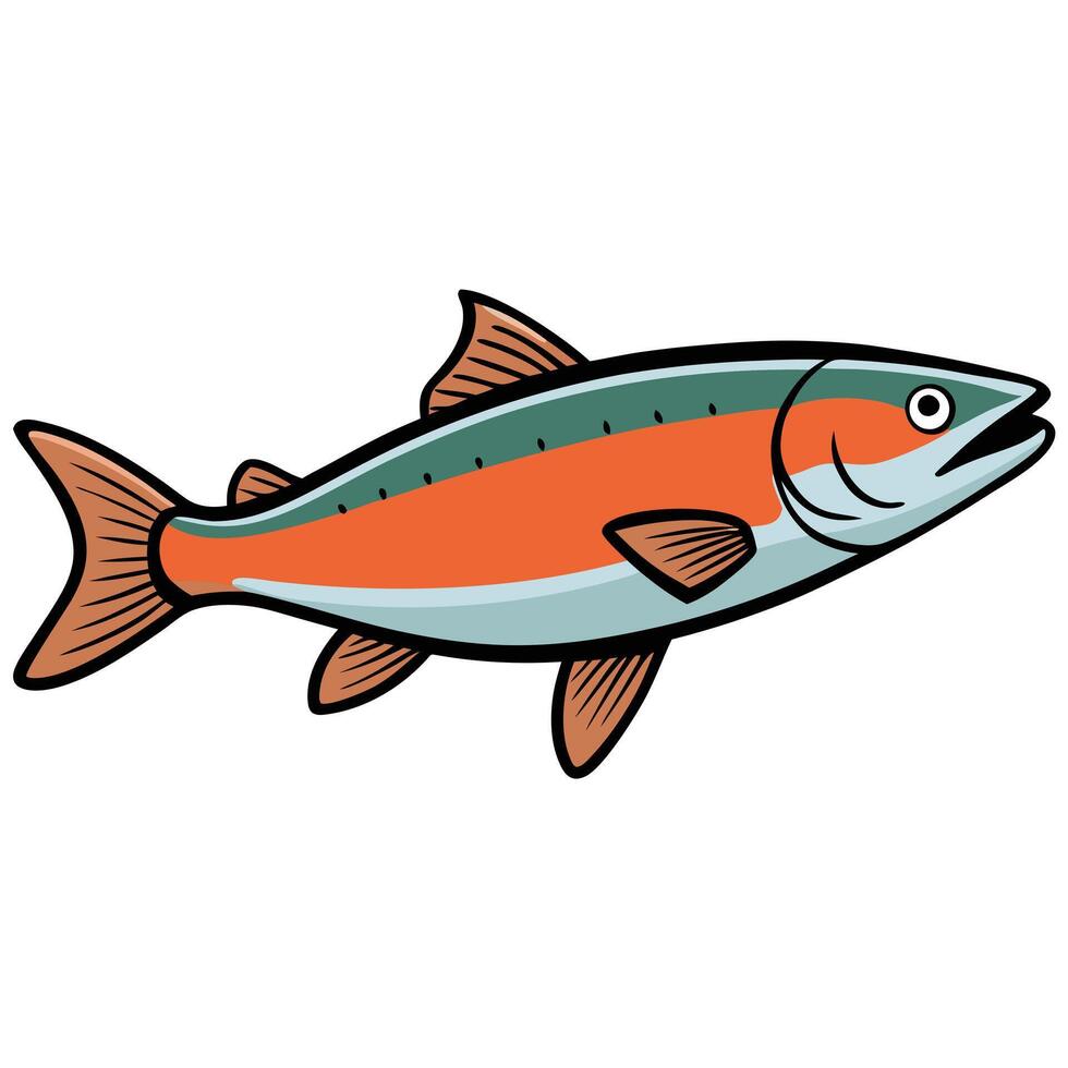 Freshwater Trout Fish Digital Drawing vector