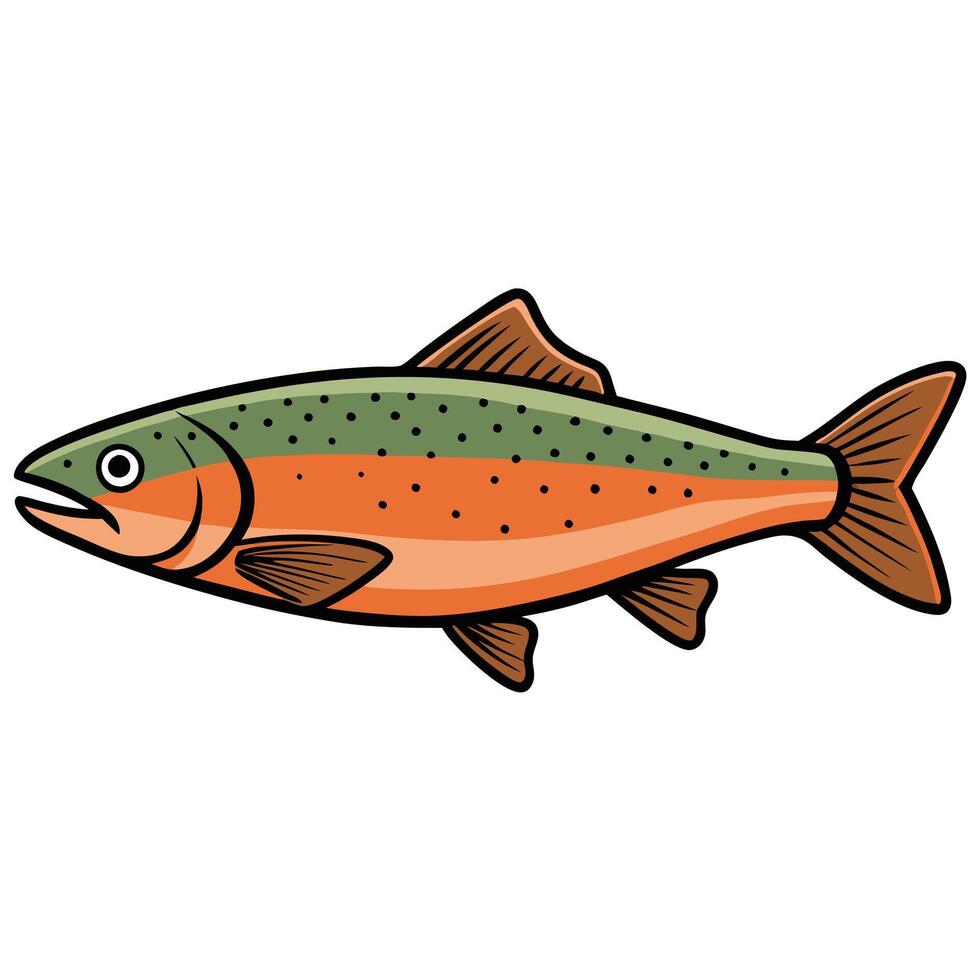 Tuna Fish and Trout Digital Illustration Combination vector