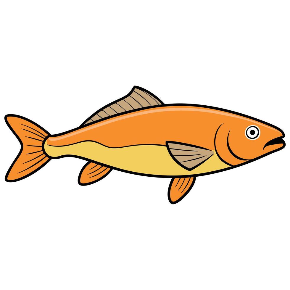 Flat Style Trout Fish Drawing vector