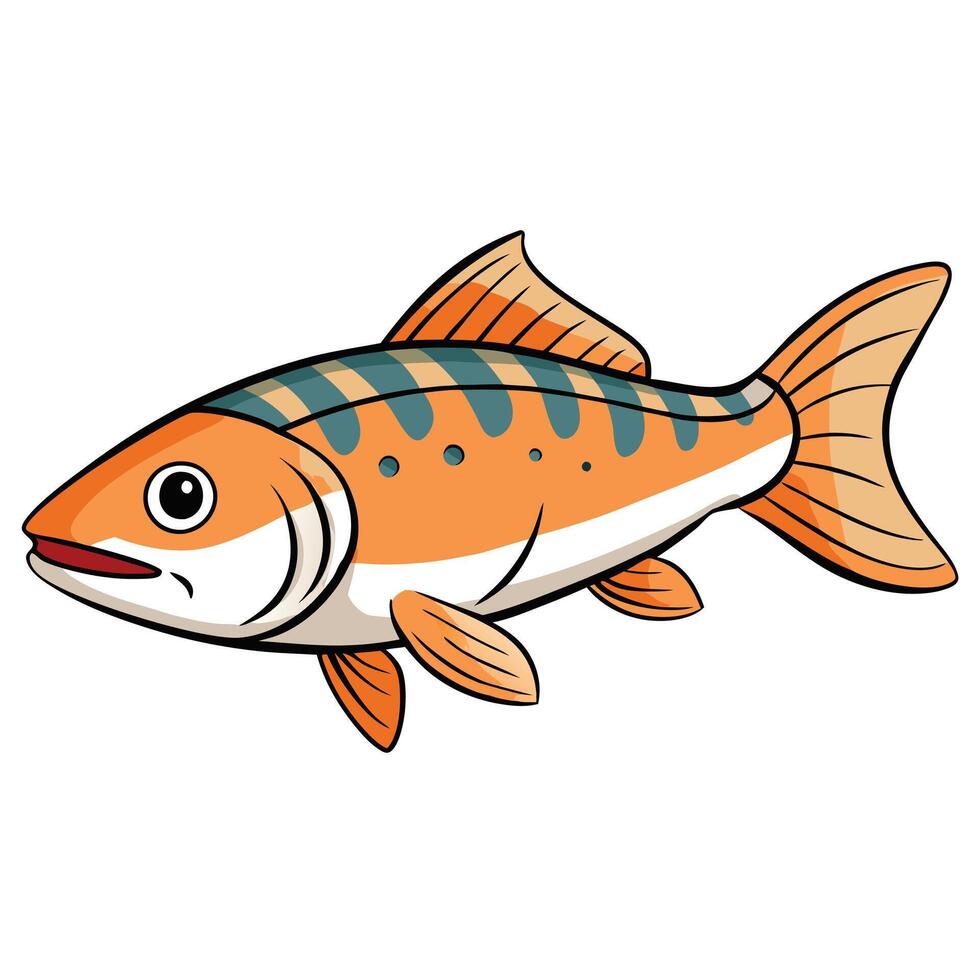 Trout Fish for Print and Digital Media vector