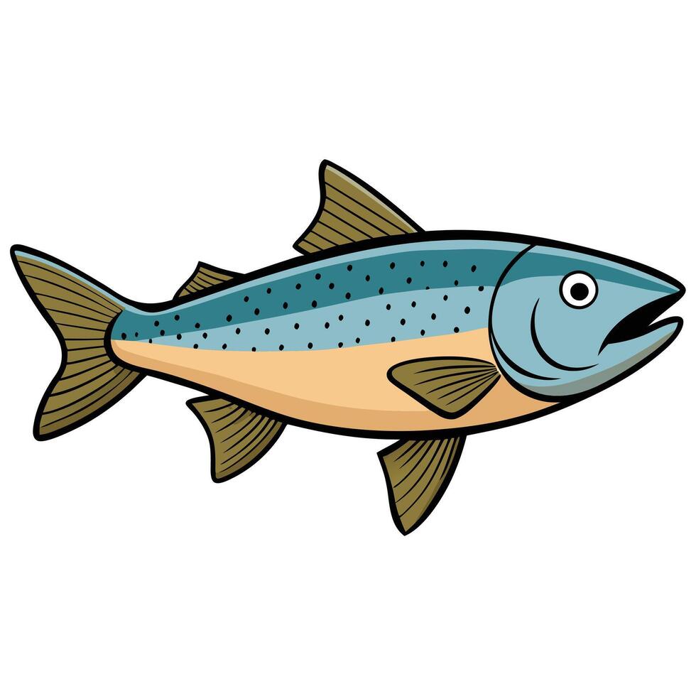 Realistic Trout Fish Illustration vector