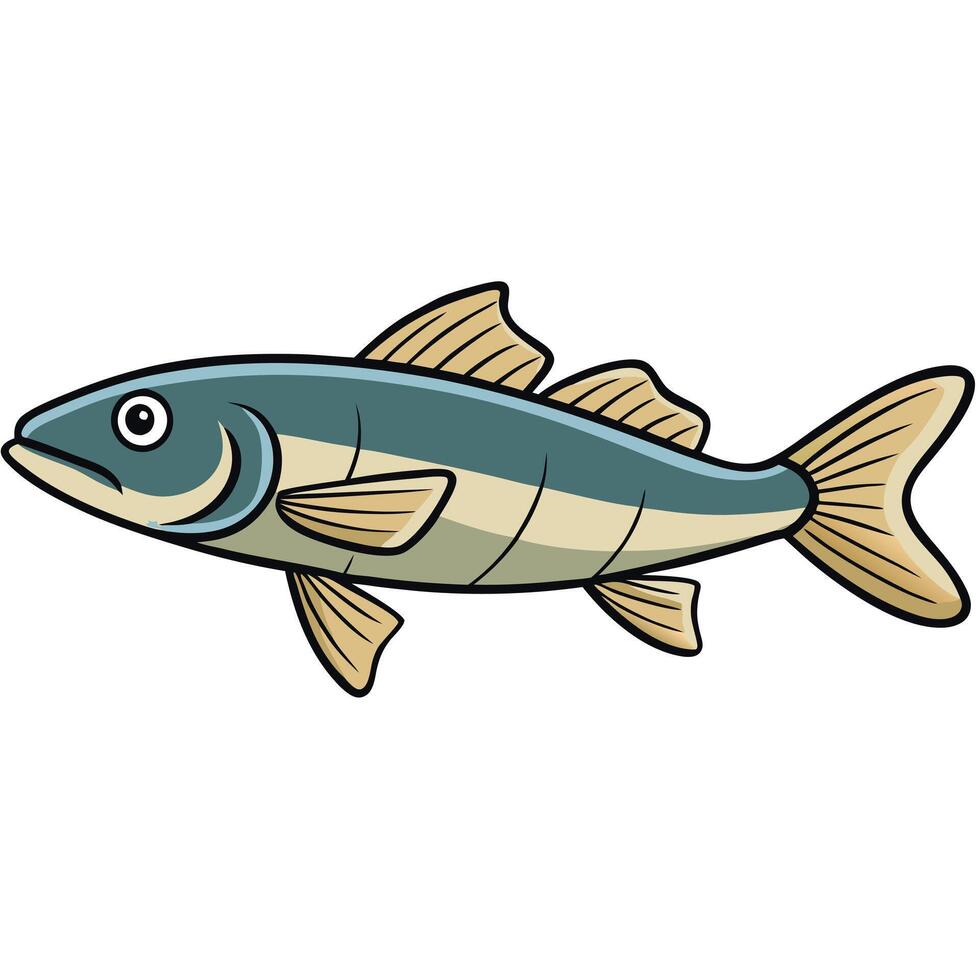 Zander Fish Line Art for Design vector