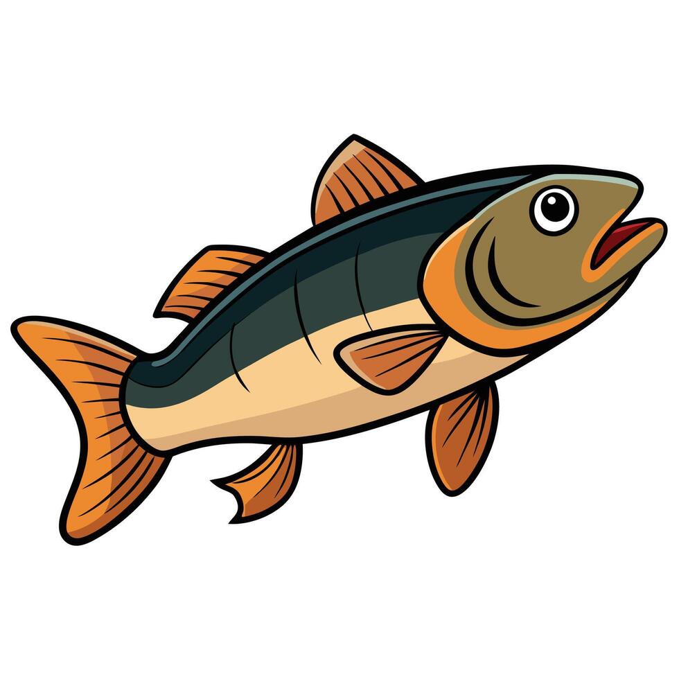 Zander Fish for Aquatic Design Projects vector