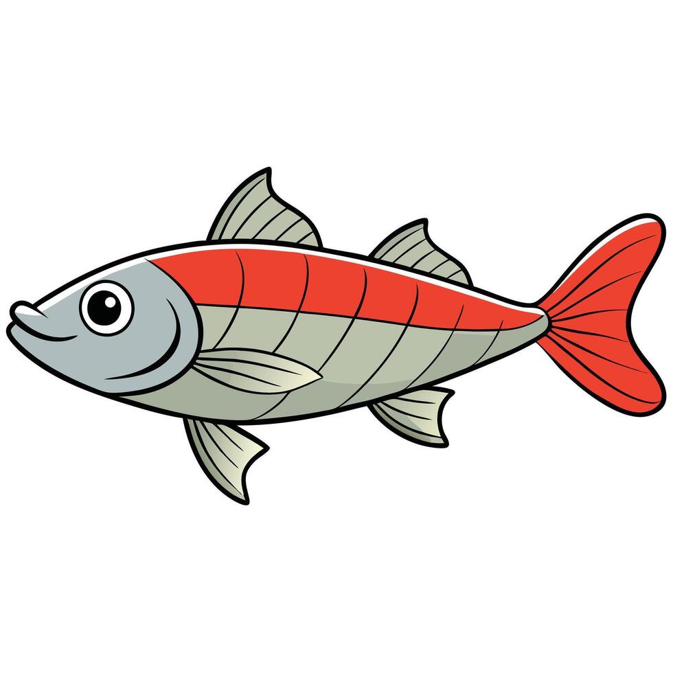 Unique Zander Fish Drawing vector