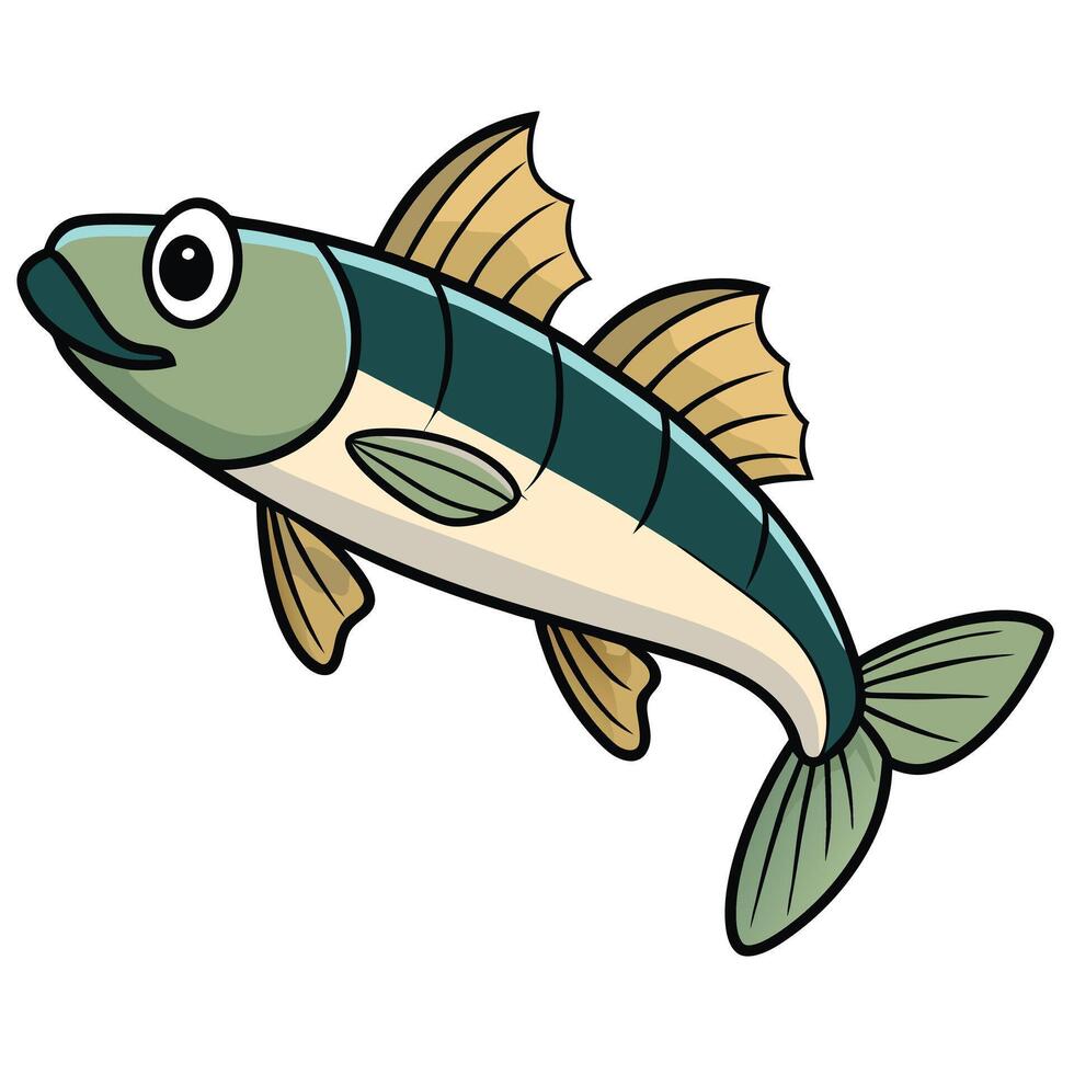 Hand Drawn Zander Fish Art vector