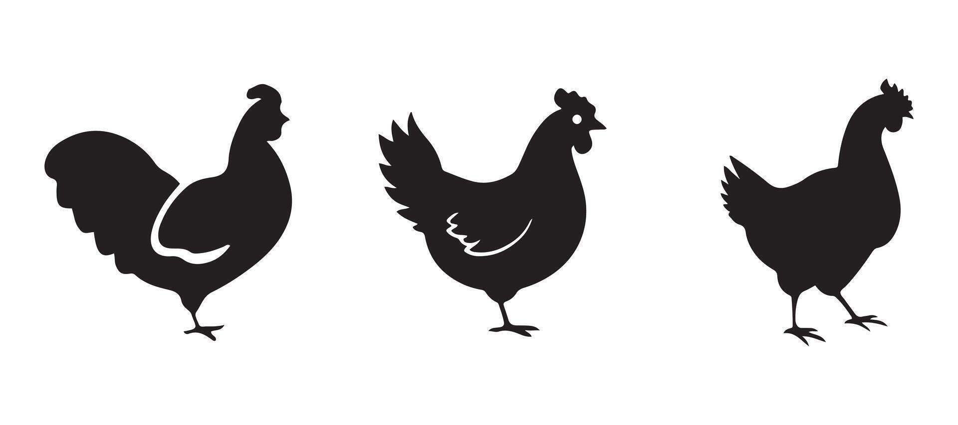 Chicken icon symbol vector