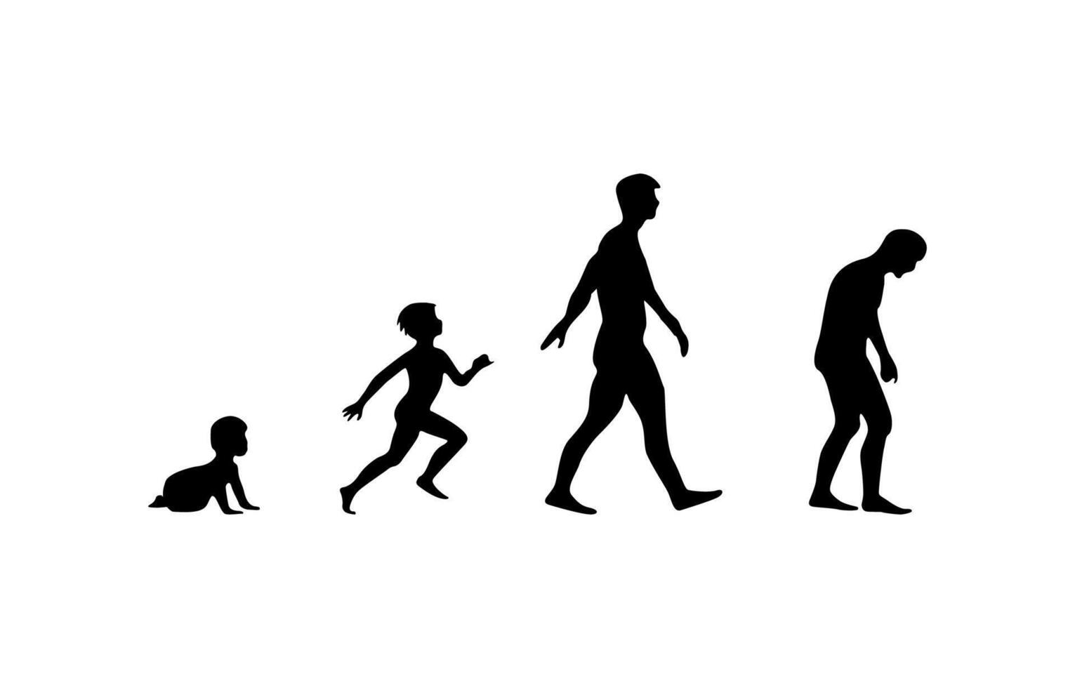 growth Human evolution. baby to child, Middle aged and elderly black silhouette vector