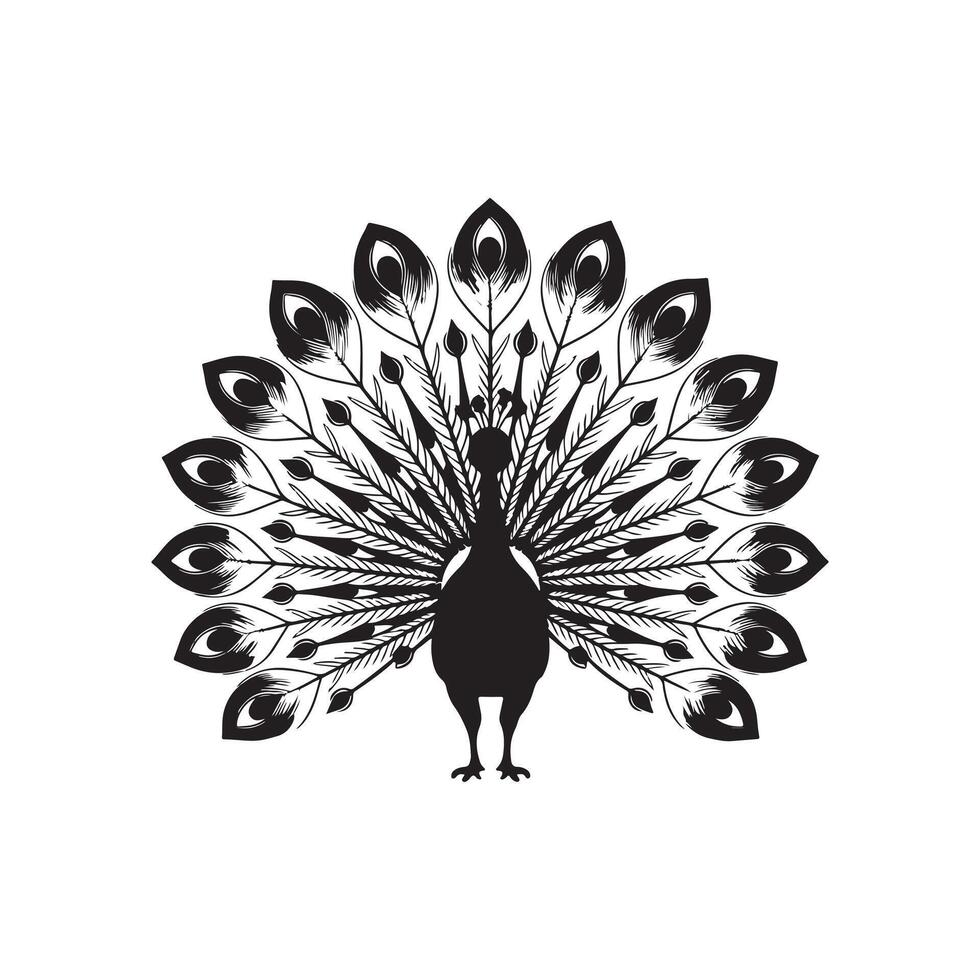 A stunning, symmetrical silhouette of a peacock with its magnificent tail feathers fully displayed. vector